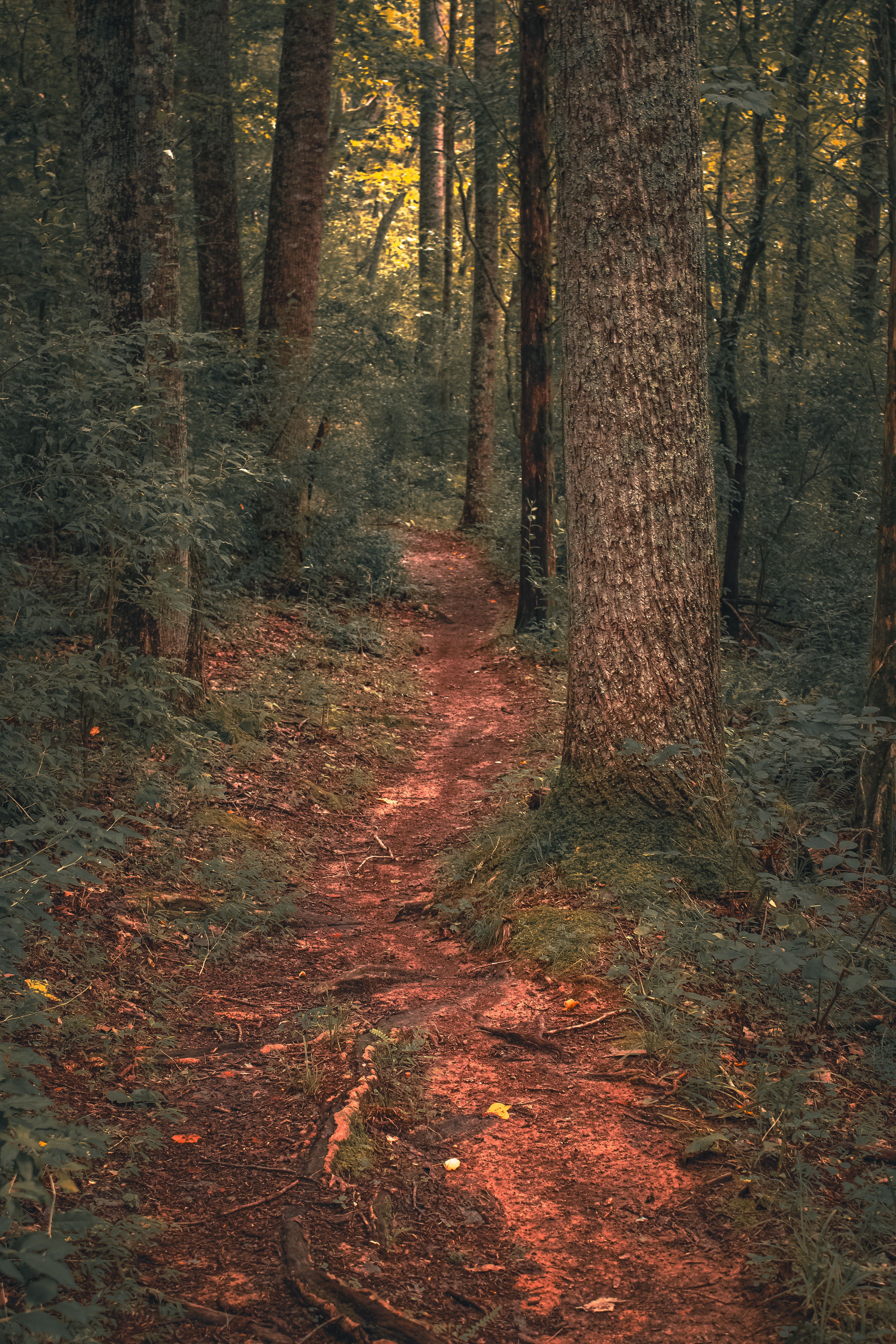 Thing To Do Hiking / Adventure